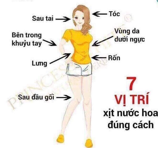 Tầng nước hoa là gì?