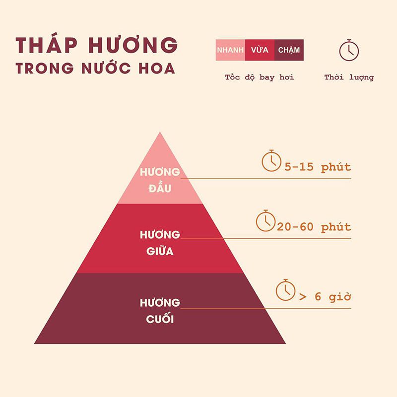 Tầng nước hoa là gì?